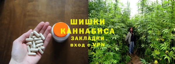 сатива Куйбышев