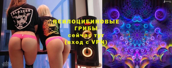 сатива Куйбышев