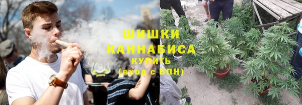 сатива Куйбышев