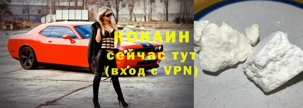 сатива Куйбышев