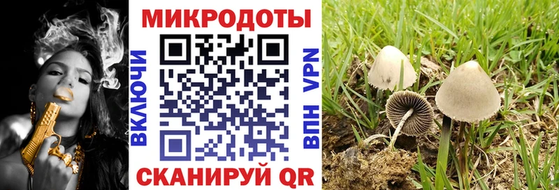 Псилоцибиновые грибы Cubensis  Купить где  Велиж 